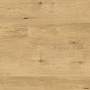 Expona Commercial Wood (2017) 4058