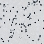 Element EC 450000